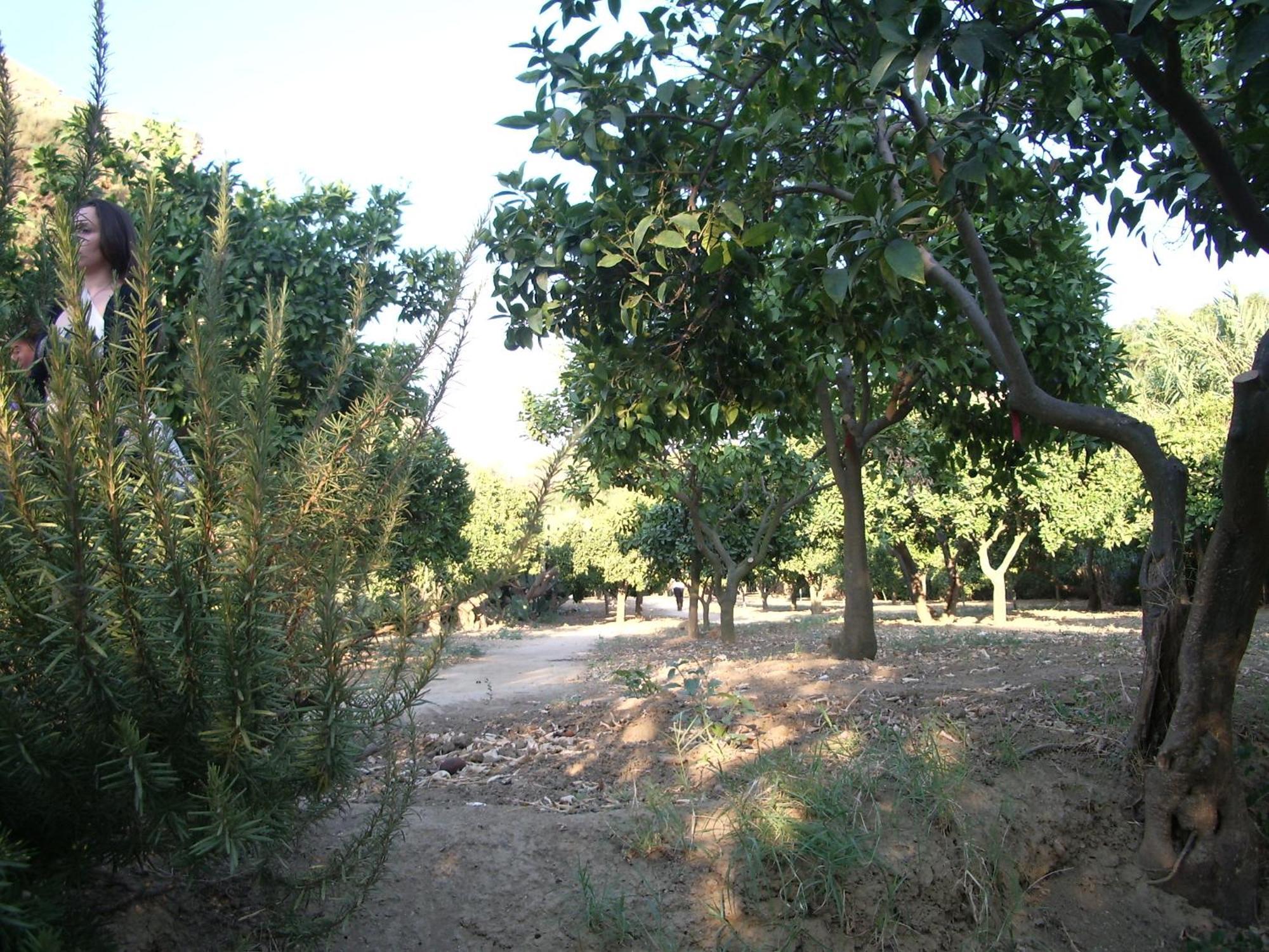 Villa Dei Giardini ซานเลโอเน ภายนอก รูปภาพ